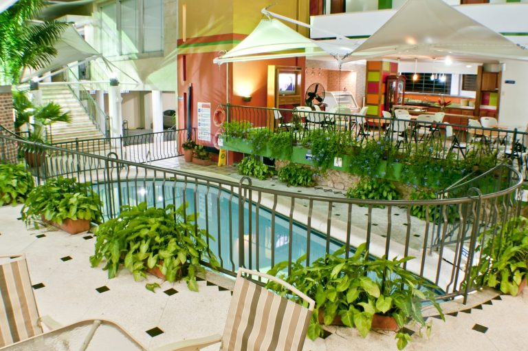 Piscina del hotel